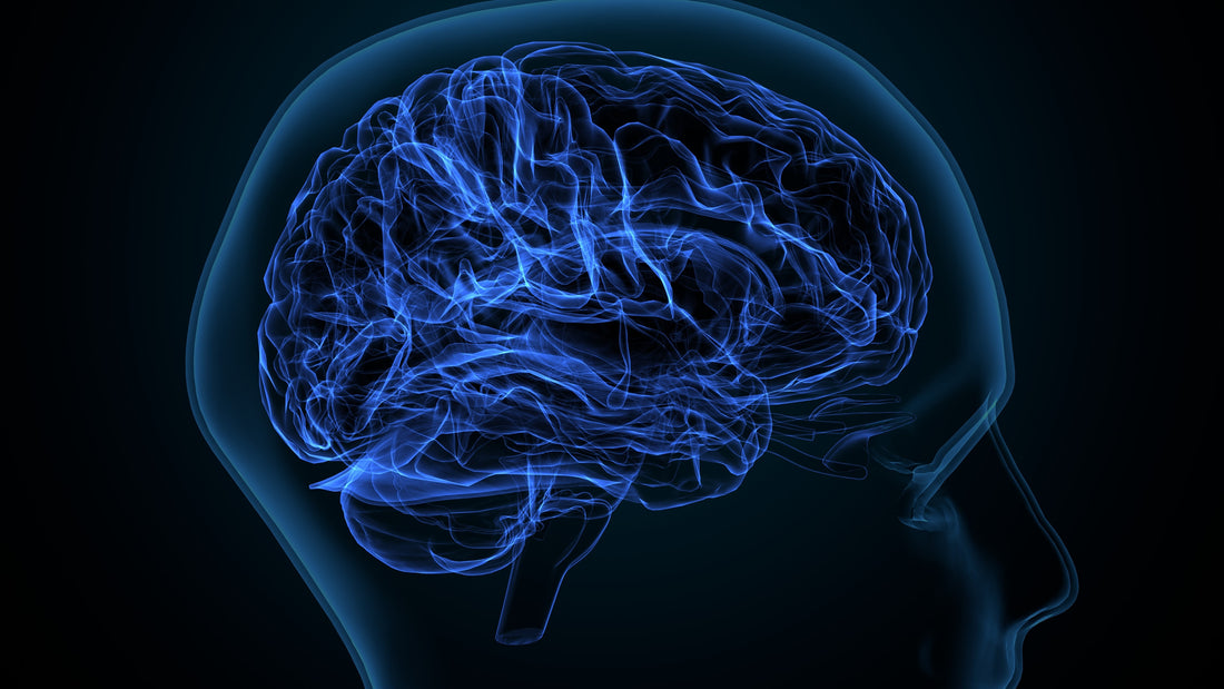 Rödljusterapi för hjärnhälsa och kognitiv funktion