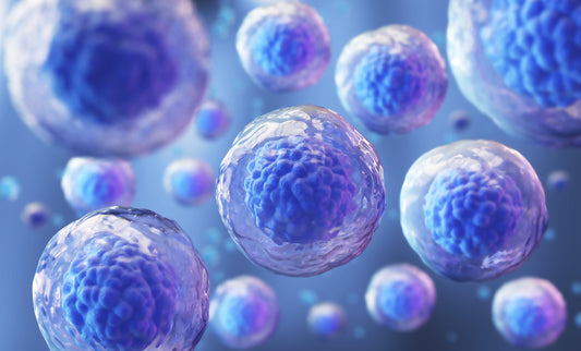 Hur fungerar Rödljusterapi på stamceller?