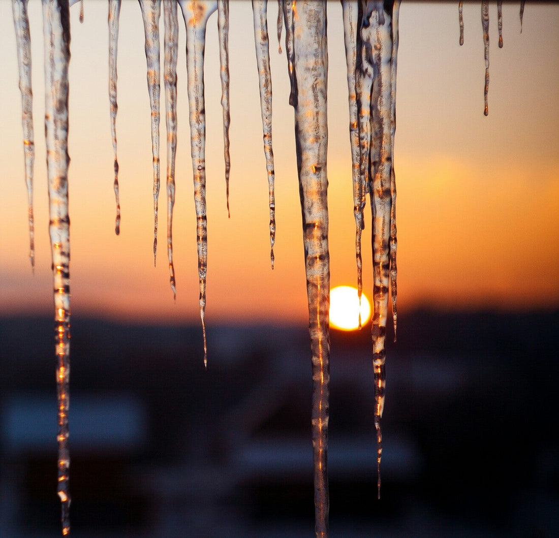 rodljusterapi dygnsrytm